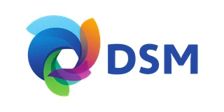 Logo DSM